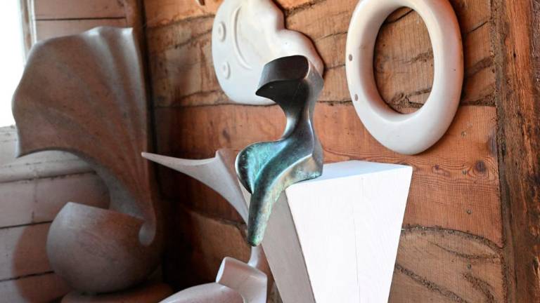 Obisk pri Robinu Soaveju