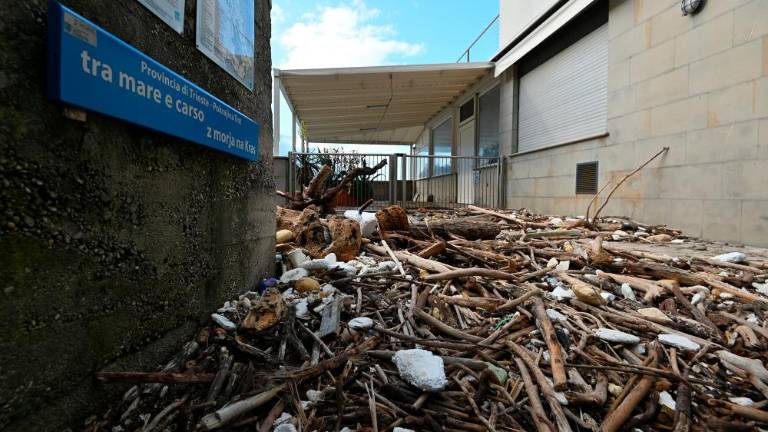 Sprehod po opustošeni kriški obali