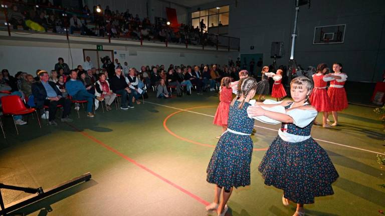 Slovensko kulturno društvo Rdeča zvezda iz Saleža praznovalo 80 let delovanja