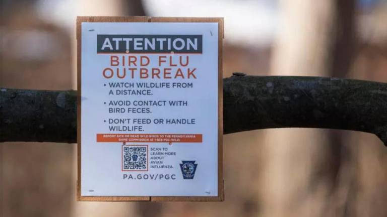 V ZDA poročajo o prvem primeru ptičje gripe H5N5 pri človeku