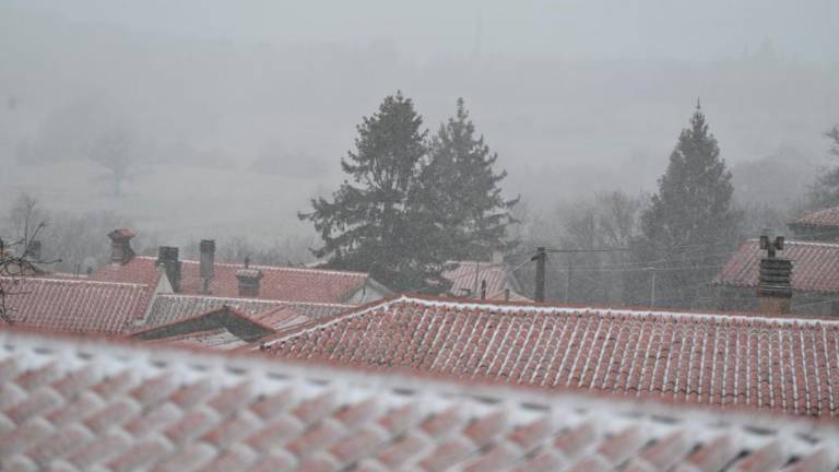 Na Krasu močno sneži (foto in video)