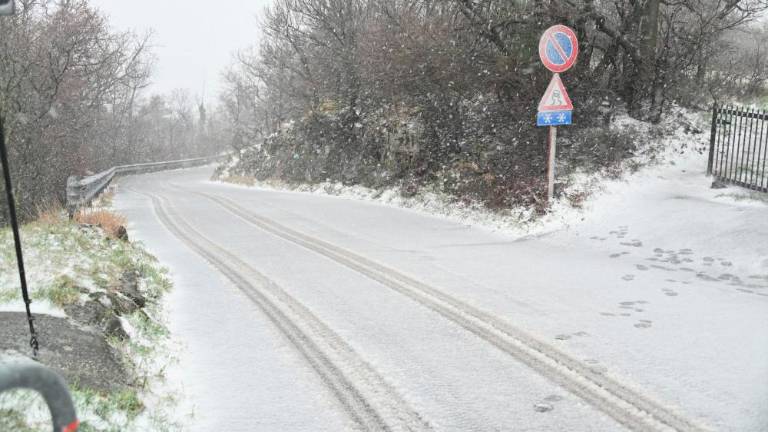 Na Krasu močno sneži (foto in video)