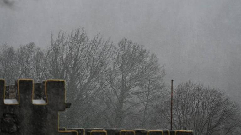 Na Krasu močno sneži (foto in video)