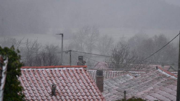 Na Krasu močno sneži (foto in video)