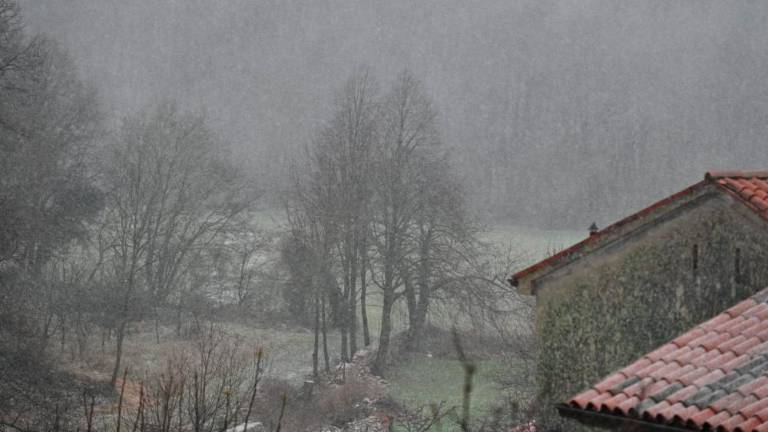 Na Krasu močno sneži (foto in video)