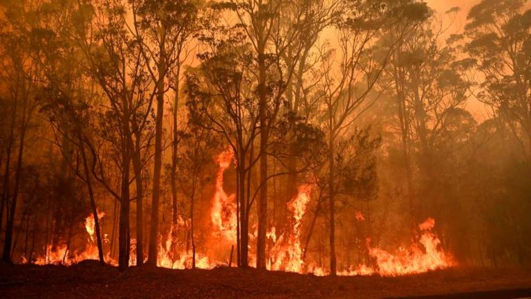 Avstralska ognjena apokalipsa
