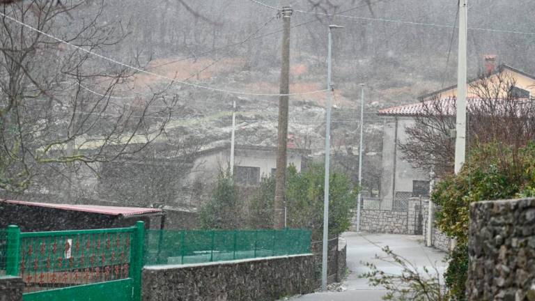 Na Krasu močno sneži (foto in video)