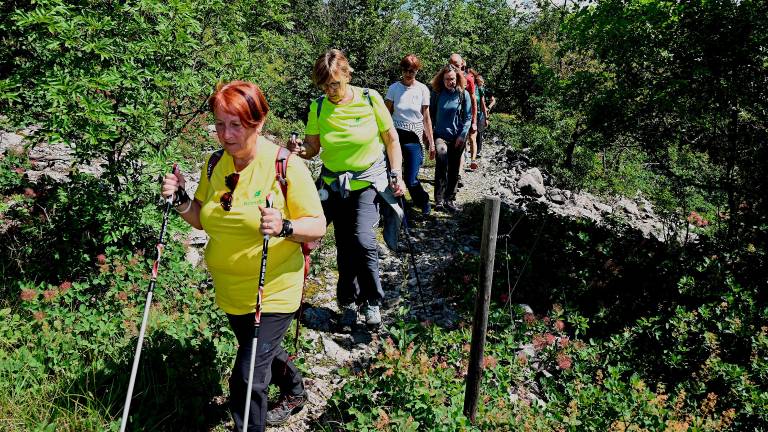 Na pohodu Kohišče skoraj tisoč udeležencev
