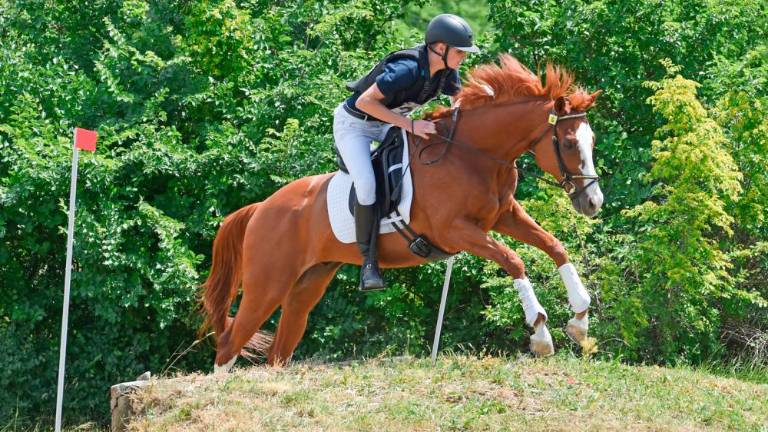 Jahači in njihovi konji močnejši od burje in dežja