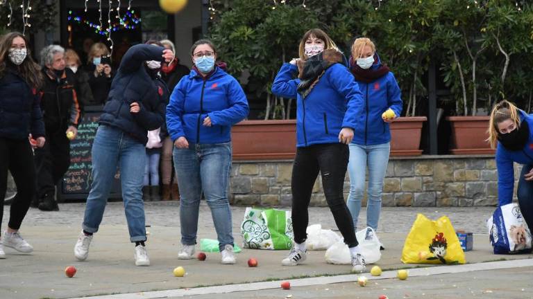 V Boljuncu letela jabolka