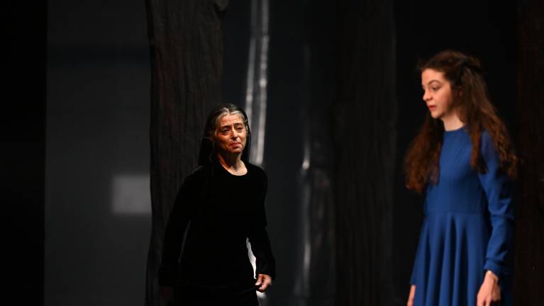 Veronika Deseniška in njena pravica do obstoja