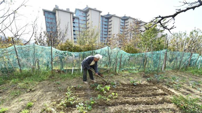 Kako do zelenjavnega vrta na javni površini