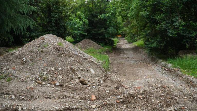 Regeneracija parka Basaglia ogroža drevesa
