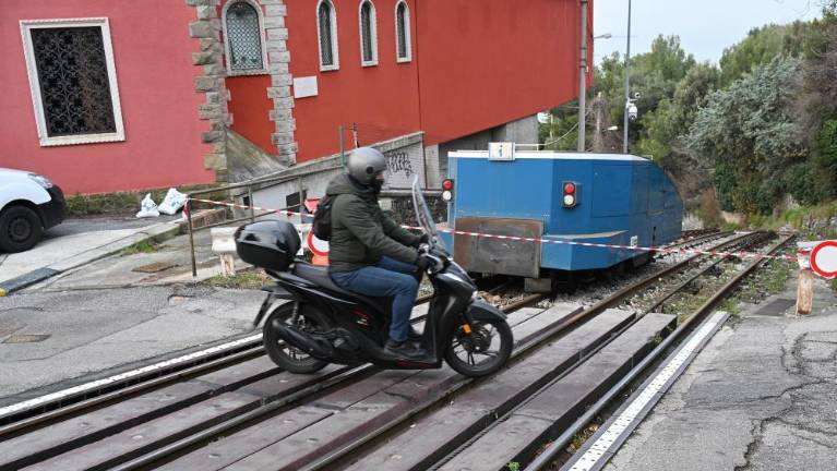 Tramvaja vsaj do maja ne bo
