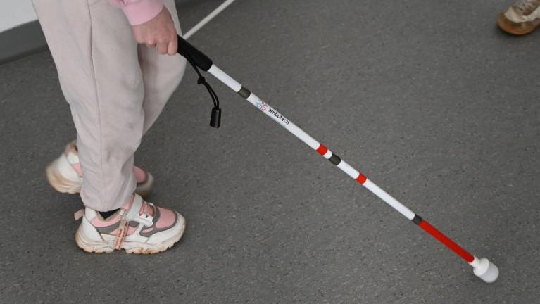 Pozivajo k enakovredni vključitvi slepih v družbo