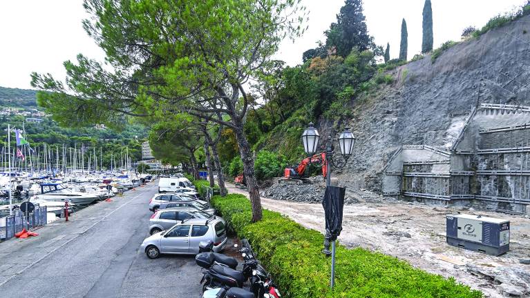 V boju za ohranitev borov se ne bodo vdali