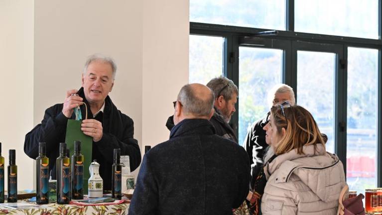 Na Dolgi Kroni danes božična tržnica