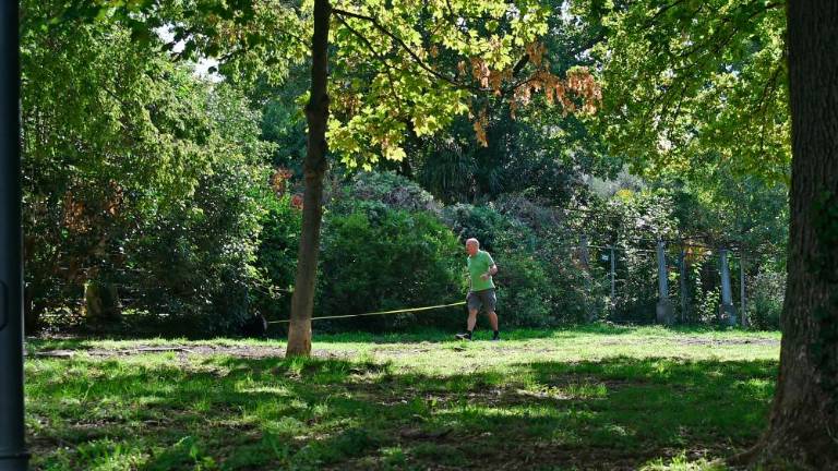 V Trstu največji delež smrti zaradi pomanjkanja zelenih površin