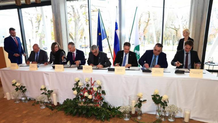 Zaživela je Zamejska gospodarska organizacija