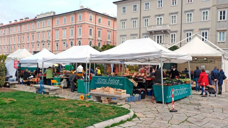 Zadnja barkovljanska »rožnarca« na Trgu sv. Antona