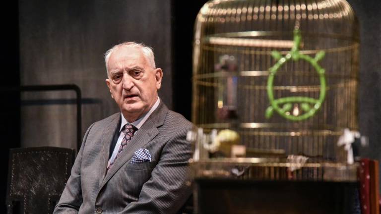 Bernhardov Videz vara