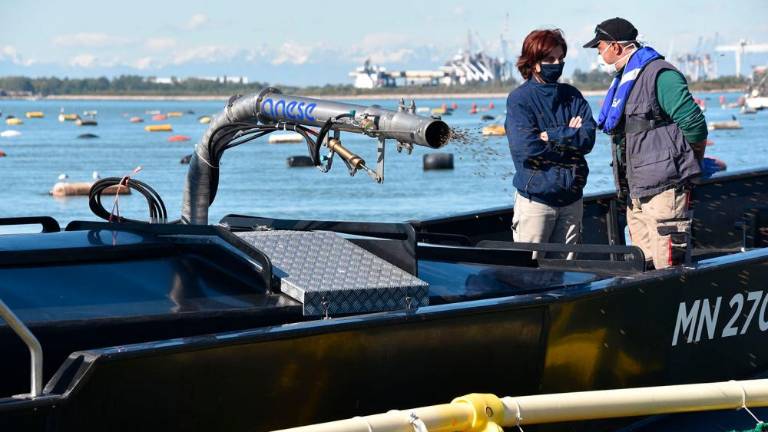 Ob devinski obali gojijo brancine in orade