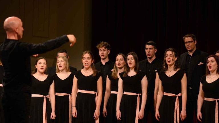 Domov prinesli zlato plaketo