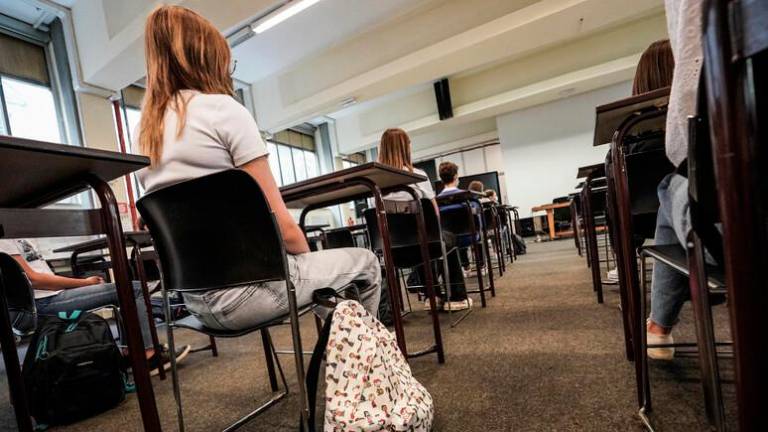 Spolna vzgoja v šolah za družbo brez nasilja