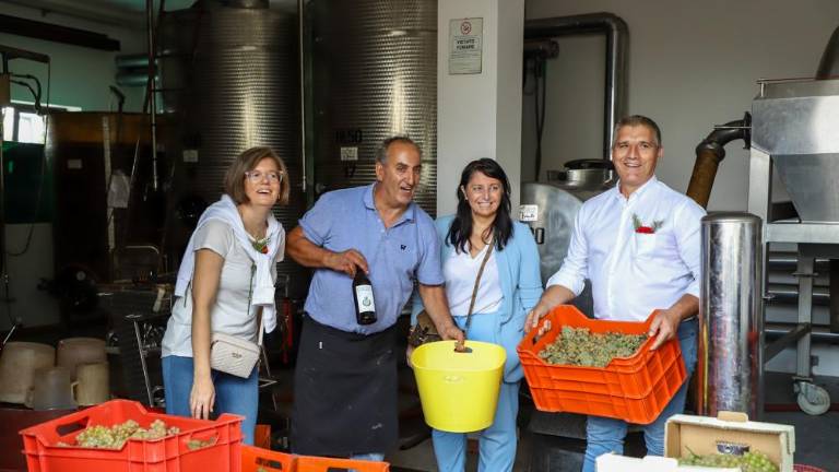 Živahni sprevod trgačev tokrat krenil v Ščedno