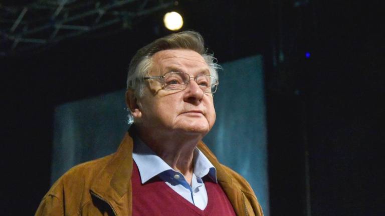 Bernhardov Videz vara