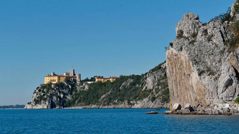 Ob devinski obali gojijo brancine in orade