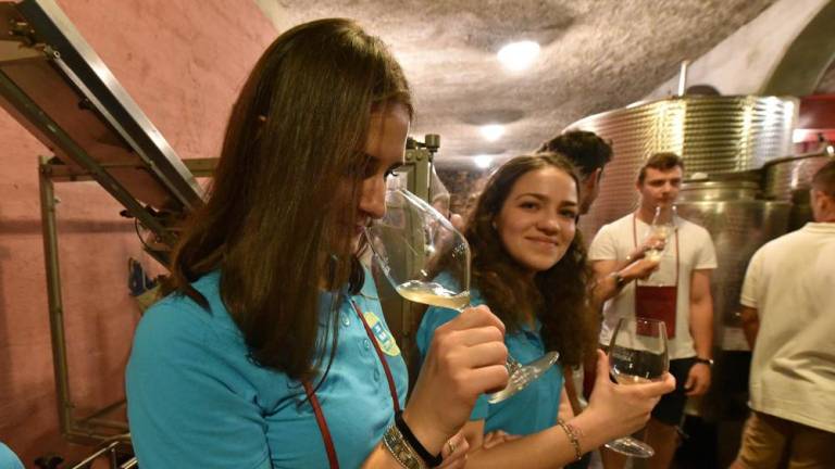 Mladi spoznavali Zidarichevo klet in vina