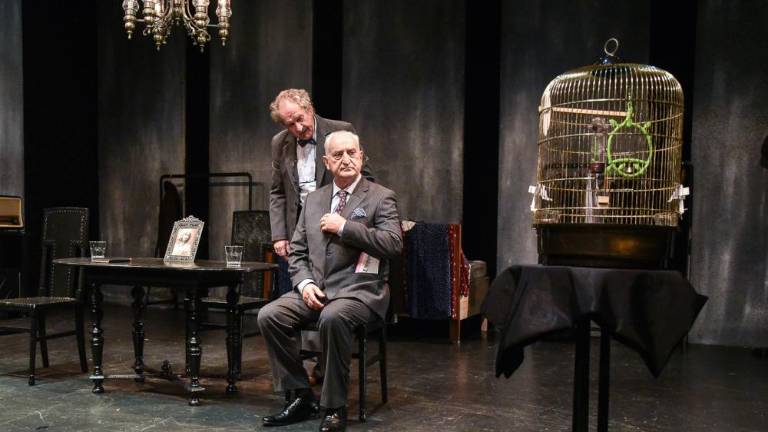 Bernhardov Videz vara