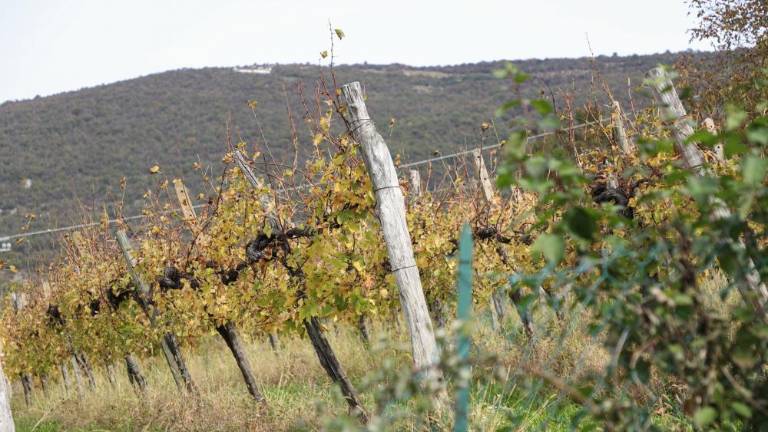 Na Sabotin krenilo okrog 140 pohodnikov