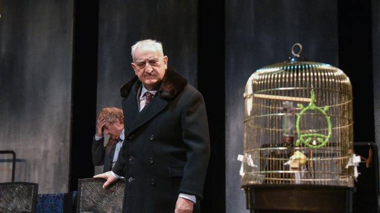 Bernhardov Videz vara