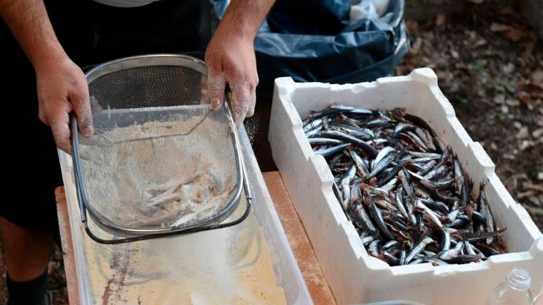 Športna dvorana Tanie Cerne