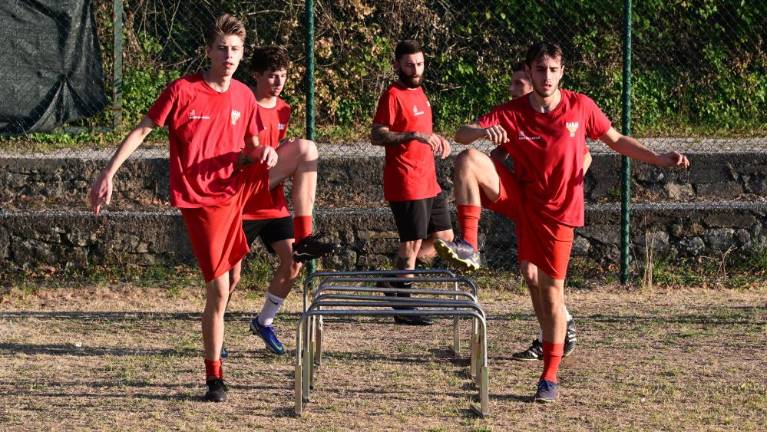 Zmagala le Zarja in Primorje