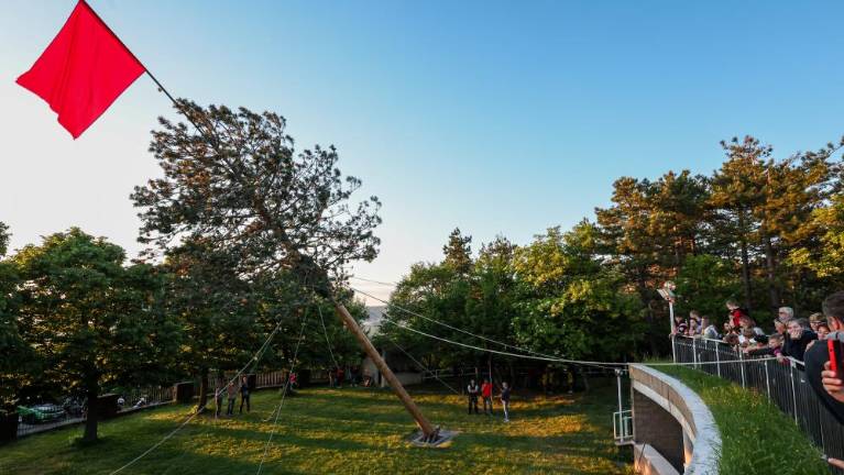 V Bregu že stojijo maji