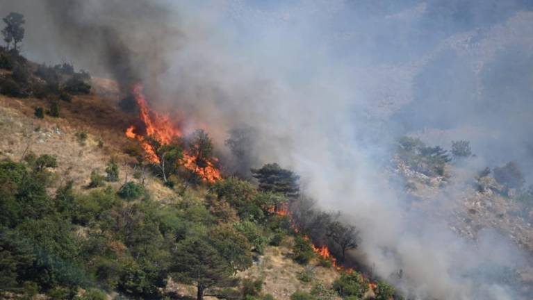 Požar med Borštom in Boljuncem