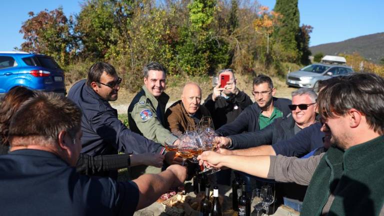 Na Oslavju zasadili skupen vinograd avtohtone rebule