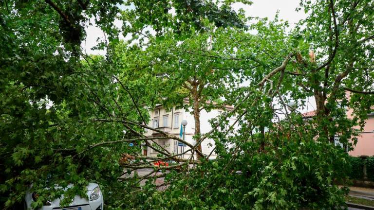 Na Goriškem pustošilo neurje (foto)