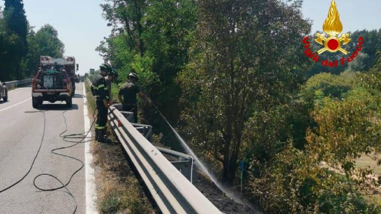 Zagorelo ob državni cesti na območju občine Škocjan