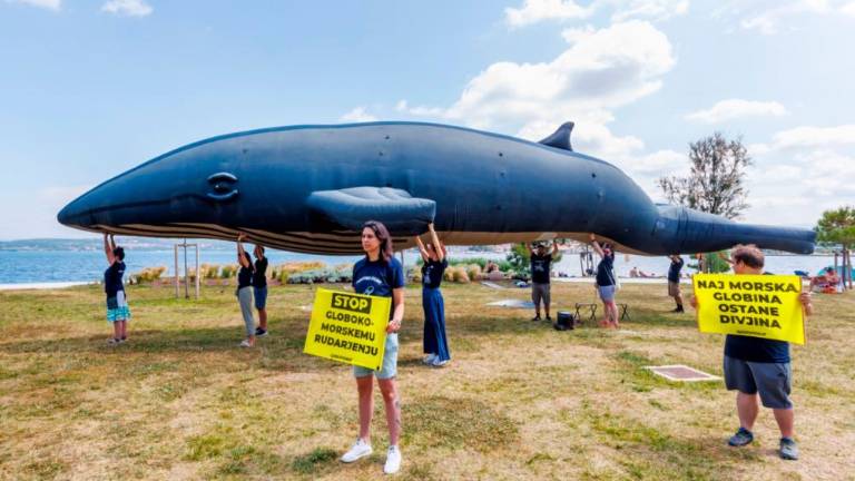 Nevladniki v Kopru pozvali k zaščiti oceanov