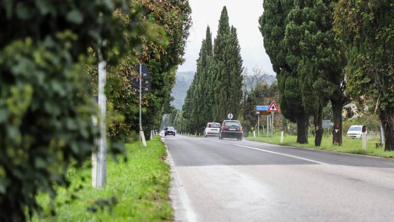 Novogoriški policisti izsledili povzročitelja nesreče