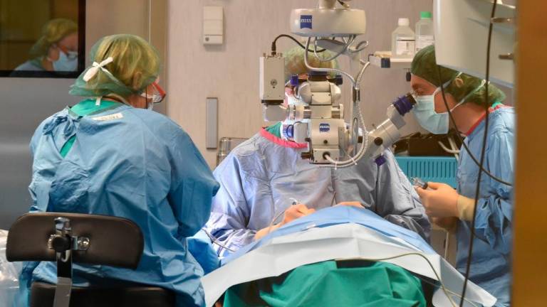 Asugi pred skorajšnjo prestižno mednarodno akreditacijo