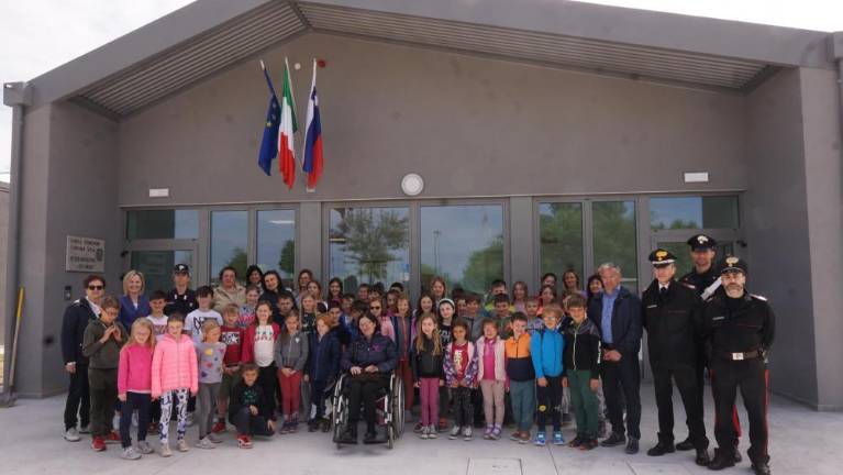 Beli gaber za zdravje