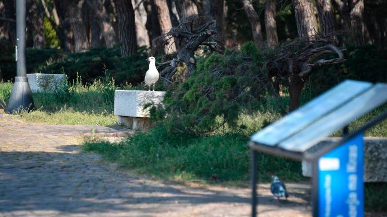 Velikonočna praznina na Tržaškem