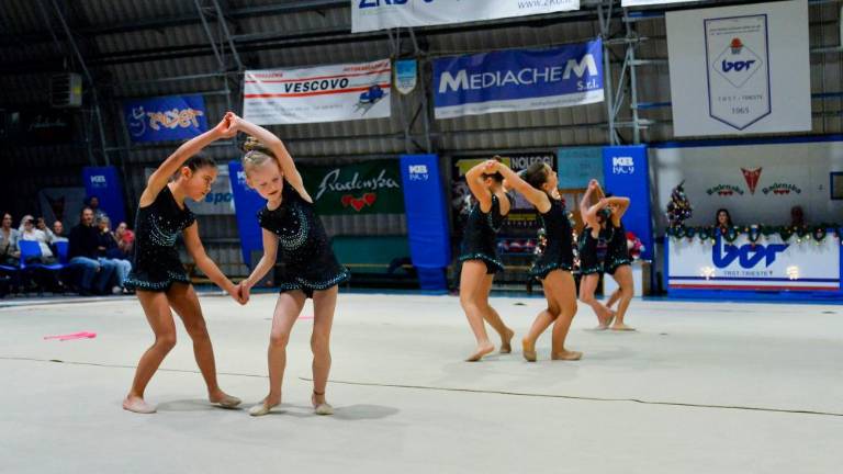 Tradicionalna Božična akademija Borovih ritmičark