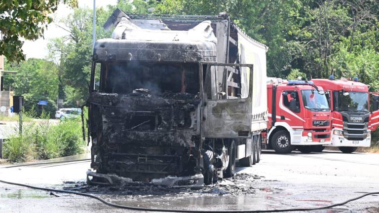 Pri Fernetičih zagorel tovornjak