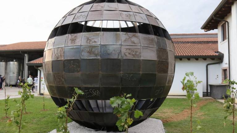 Mejo brišejo tudi v briških vinogradih